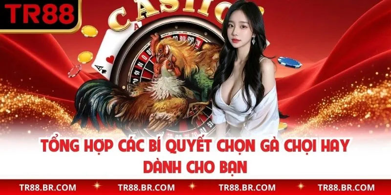 Bí quyết chọn gà chọi hay kinh nghiệm cho mọi Newbie