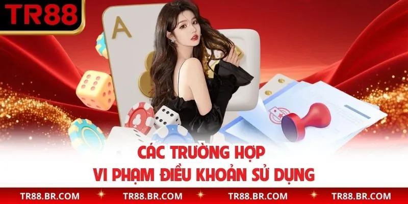 Các trường hợp vi phạm điều khoản sử dụng