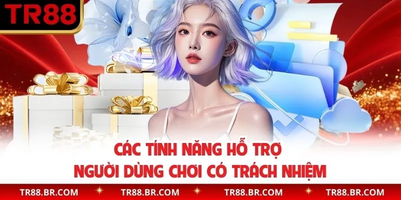 Các tính năng hỗ trợ người dùng chơi có trách nhiệm