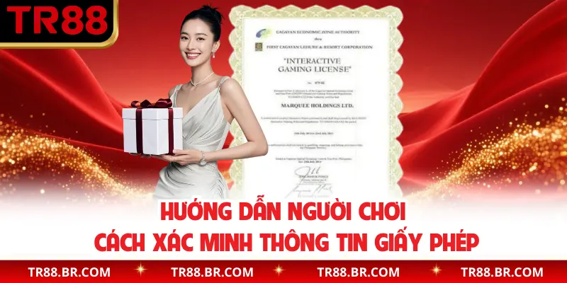 Hướng dẫn người chơi cách xác minh thông tin giấy phép