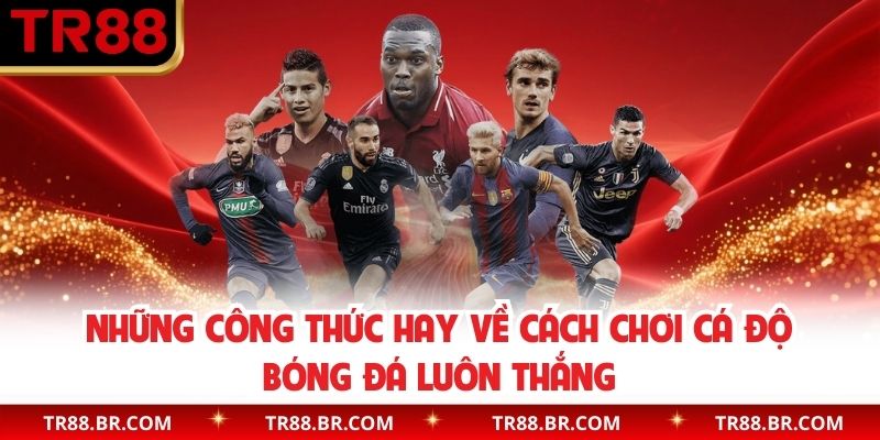 Những công thức hay về cách chơi cá độ bóng đá luôn thắng