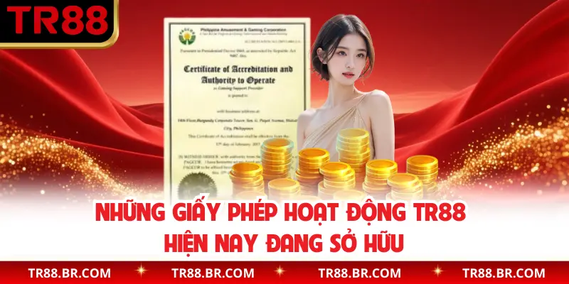 Những giấy phép hoạt động TR88 hiện nay đang sở hữu
