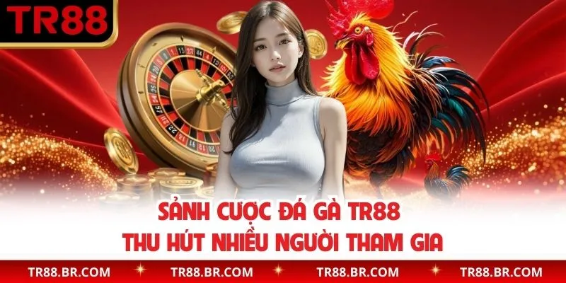 Sảnh cược chọi kê nhiều người yêu thích tại sân cược
