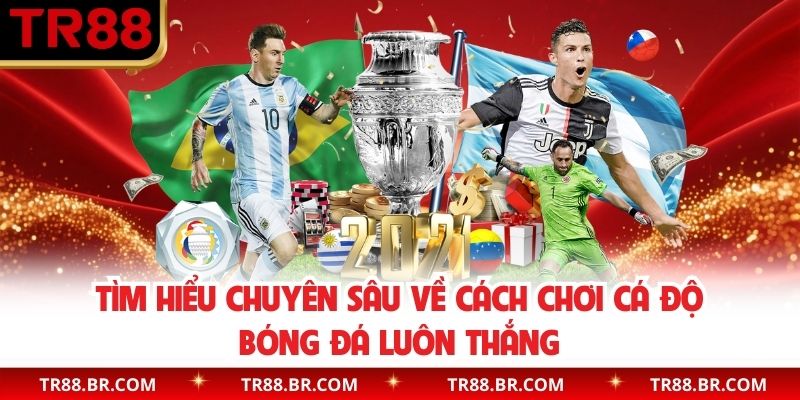 Tìm hiểu chuyên sâu về cách chơi cá độ bóng đá luôn thắng